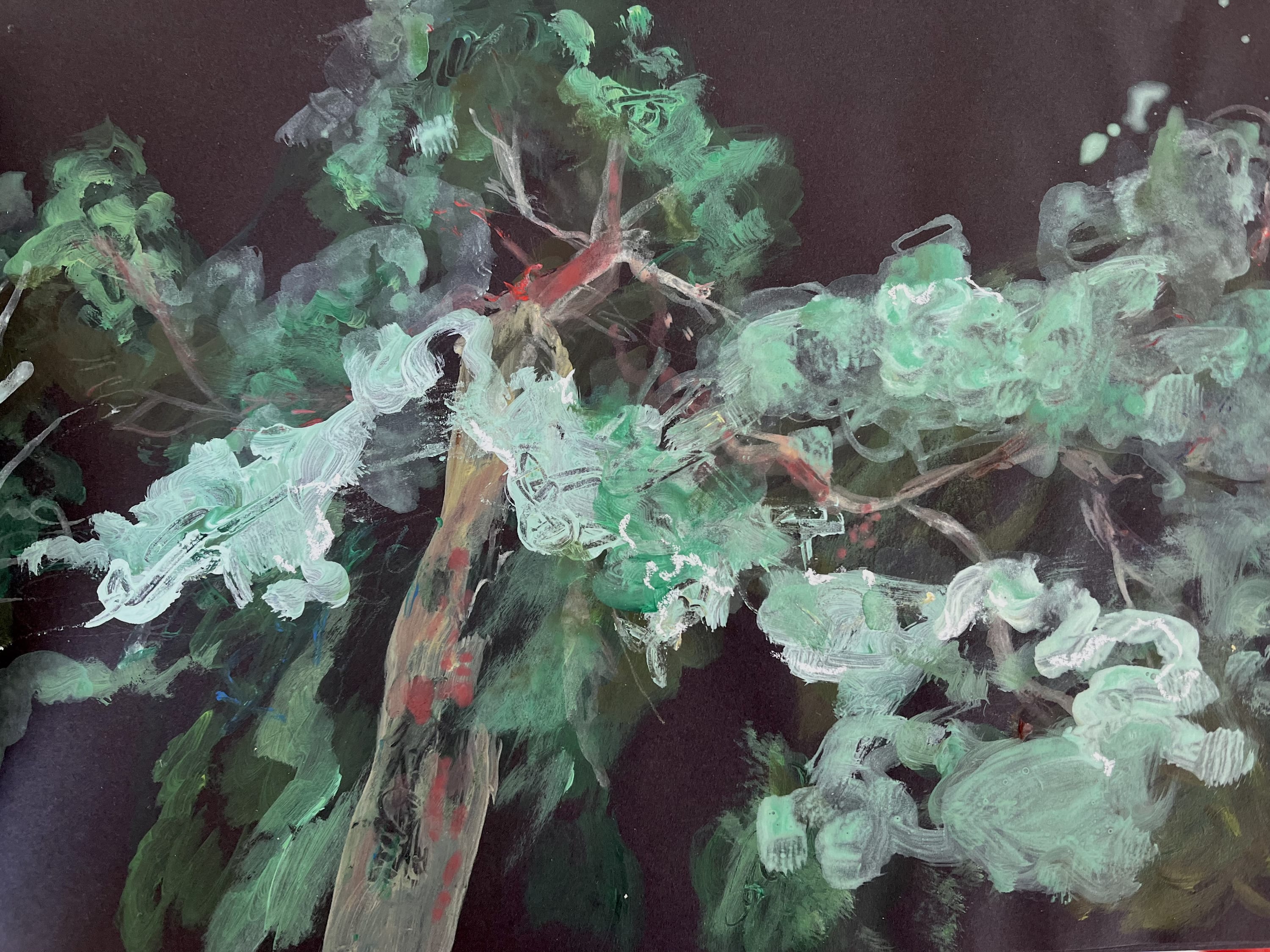 Untitled Tree